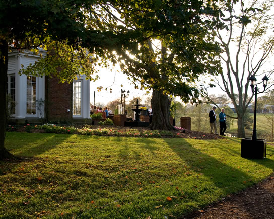 Photography by Stephen